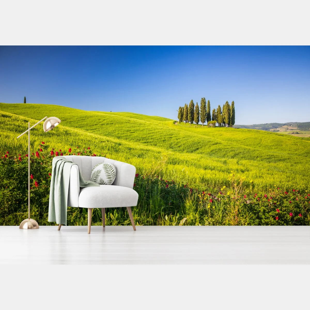 Fototapete sonnige grüne hügel mit zypressen – Wallnifity®