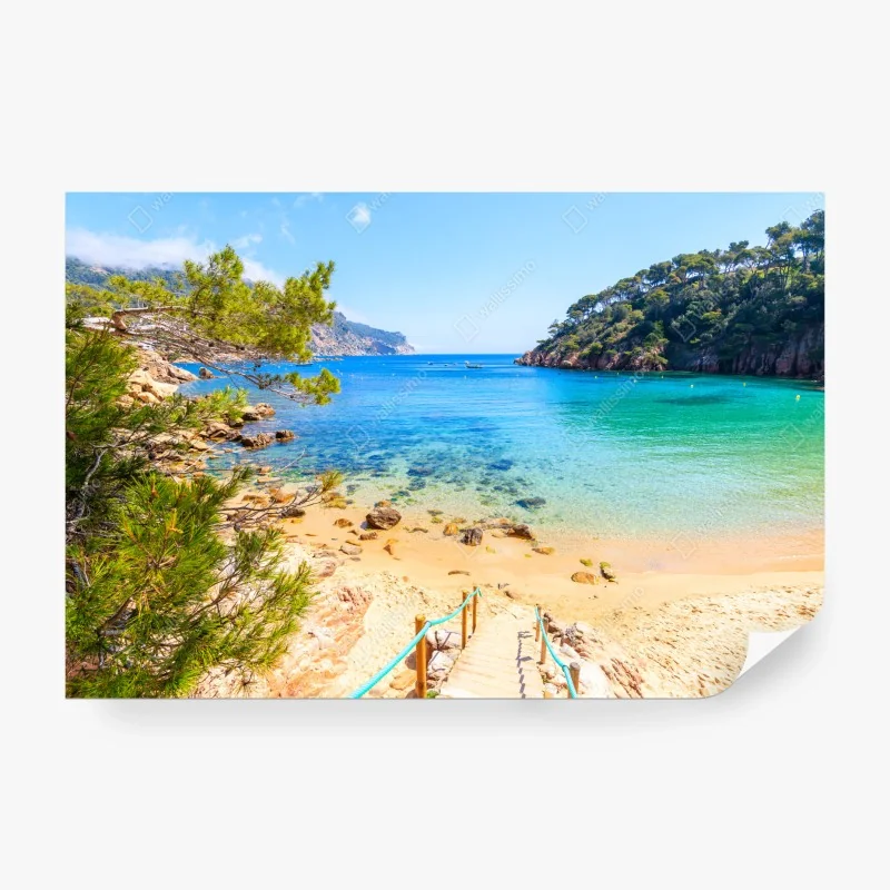 Fototapete tropischer strand mit palmen – Wallnifity®