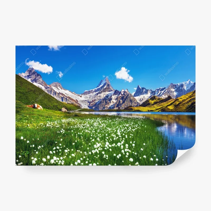 Fototapete leuchtender sonnenblumenstrauß auf gelbem hintergrund – Wallnifity®