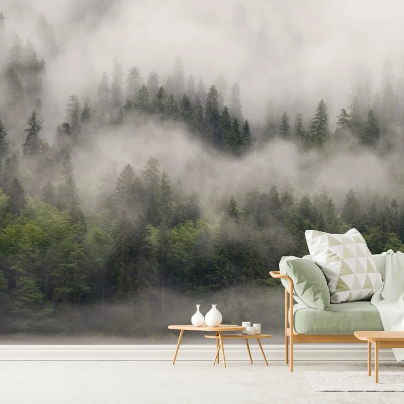 Fototapete nebliger küstenwald, British Columbia