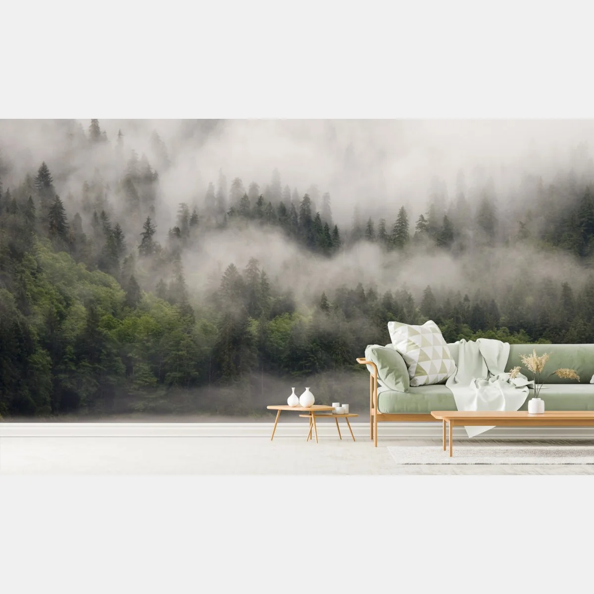 Fototapete nebliger küstenwald, British Columbia – Wallnifity®