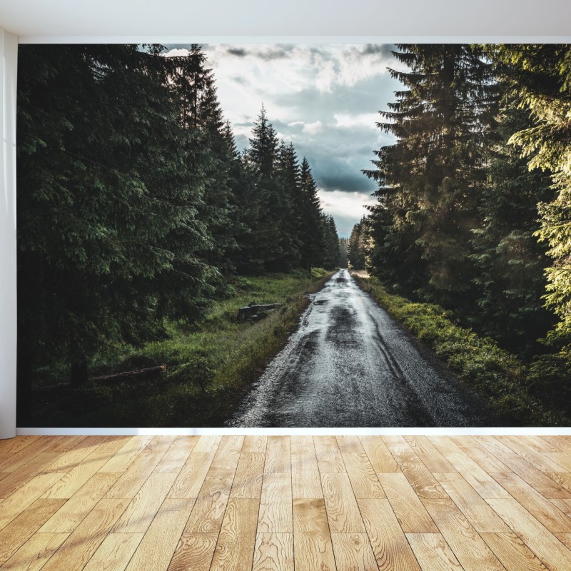 Fototapete waldweg durch neblige kiefern