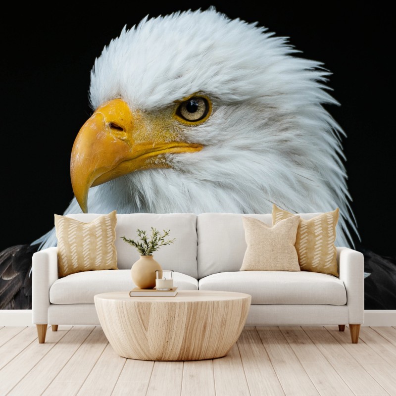 Fototapete majestätisches porträt eines weißkopfseeadlers