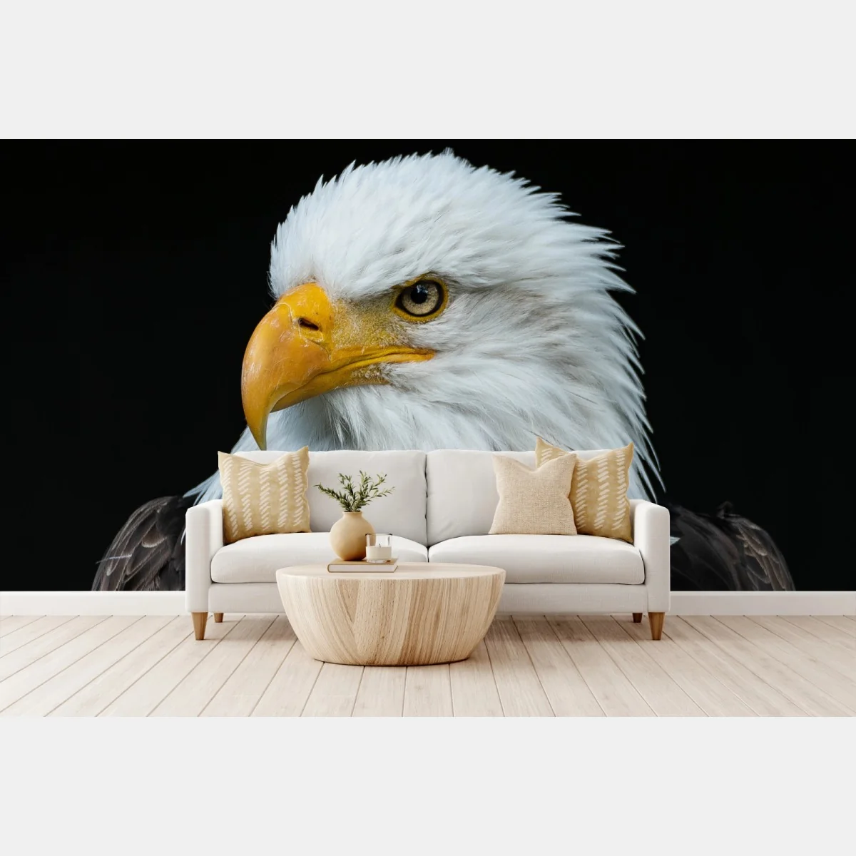Fototapete majestätisches porträt eines weißkopfseeadlers – Wallnifity® Fototapete majestätisches porträt eines weißkopfseeadlers – Wallnifity®