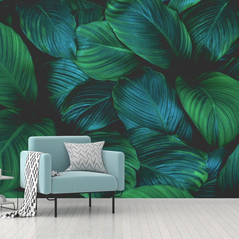 Fototapete üppige tropische blätter