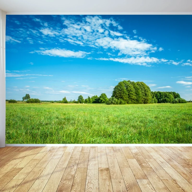 Fototapete sonnige grüne wiese unter blauem himmel – Wallnifity® Fototapete sonnige grüne wiese unter blauem himmel – Wallnifity®