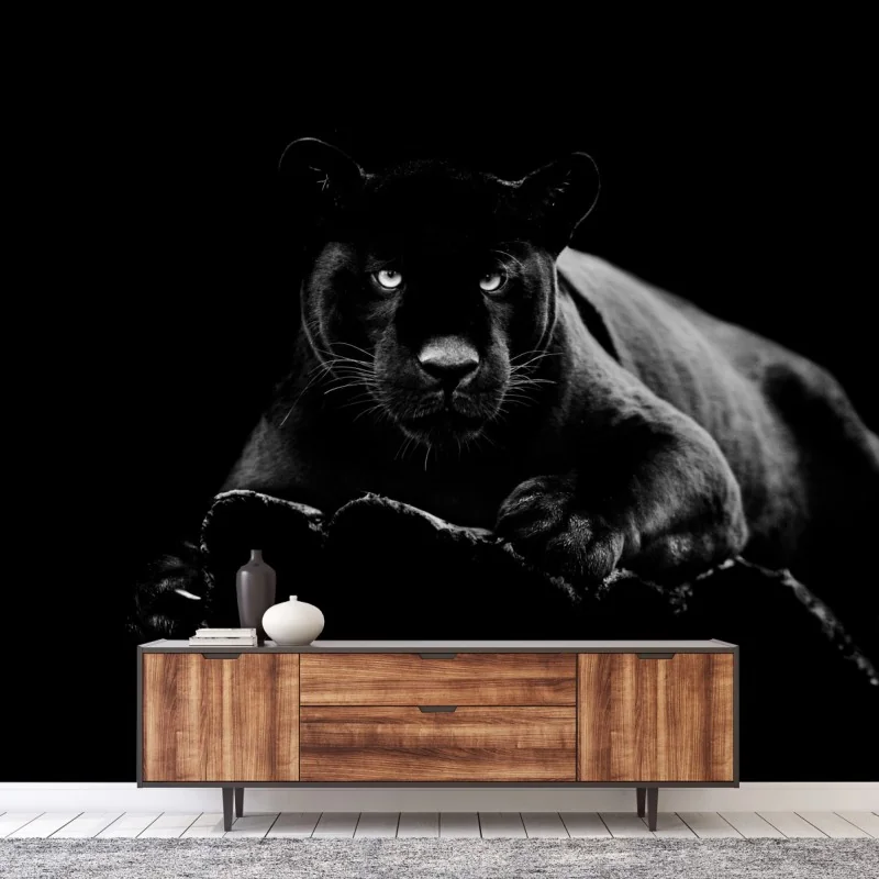 Fototapete majestätisches porträt eines schwarzen panthers