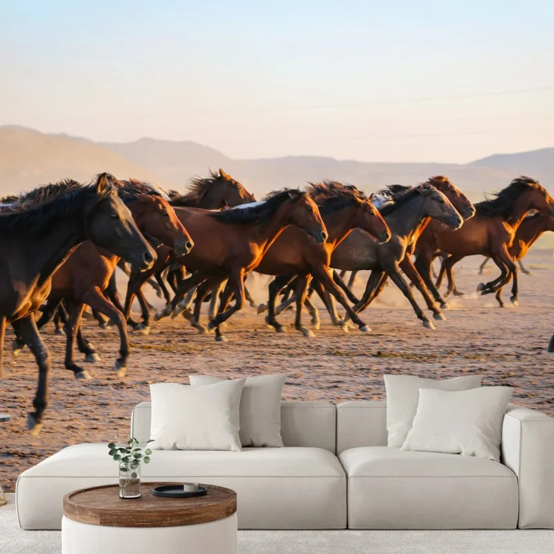 Fototapete yilki pferde galoppieren auf dem feld in Kayseri