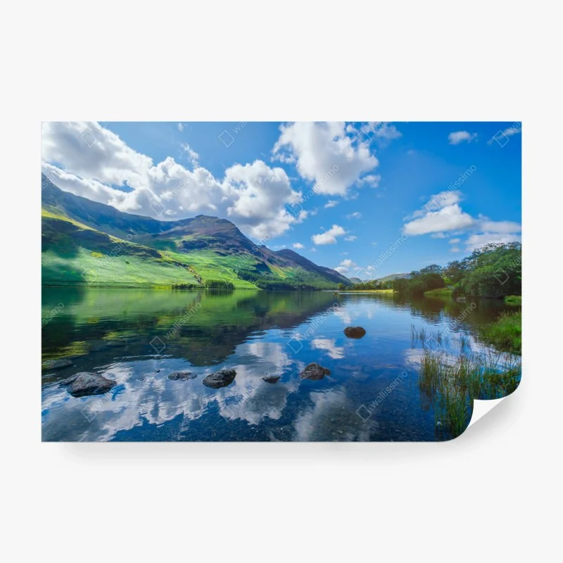 Fototapete vintage botanisches muster mit pfingstrosen – Wallnifity®