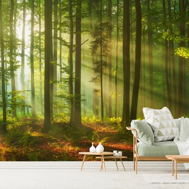 Fototapete morgendliches licht im grünen wald – Wallnifity® Fototapete morgendliches licht im grünen wald – Wallnifity®