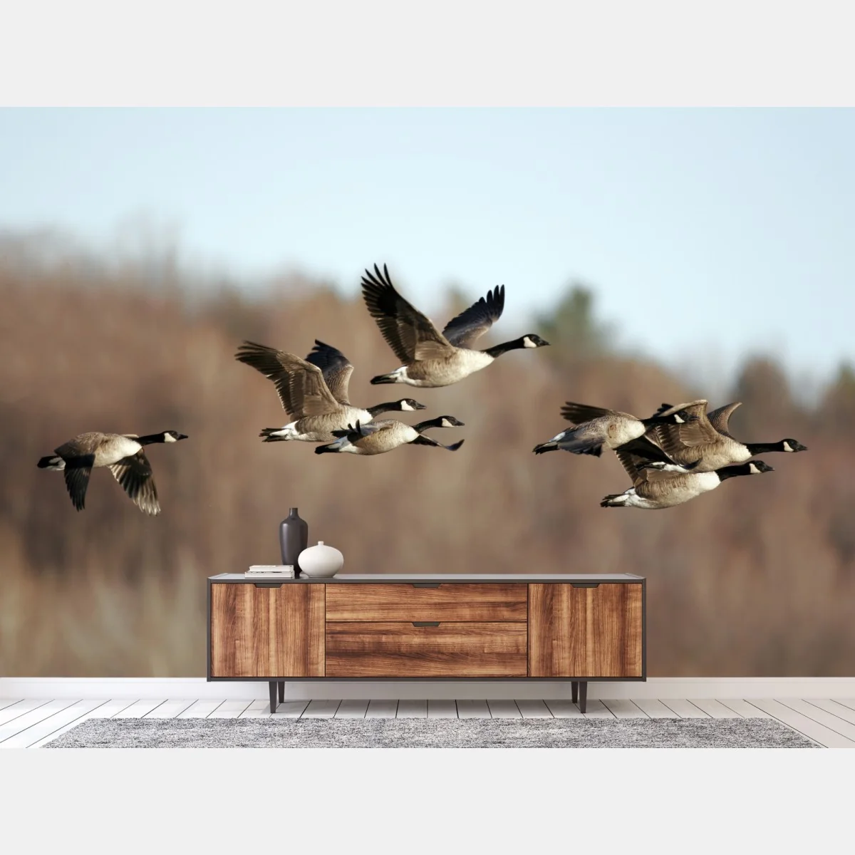 Fototapete gänse im flug über herbstliches feuchtgebiet – Wallnifity® Fototapete gänse im flug über herbstliches feuchtgebiet – Wallnifity®