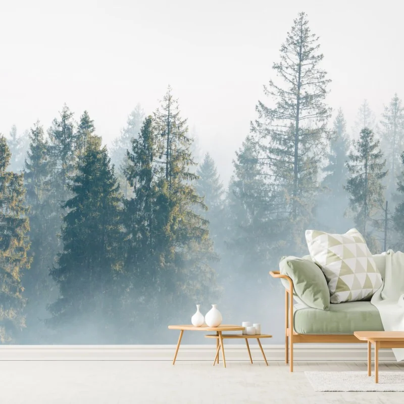 Fototapete nebliger fichtenwald am morgen