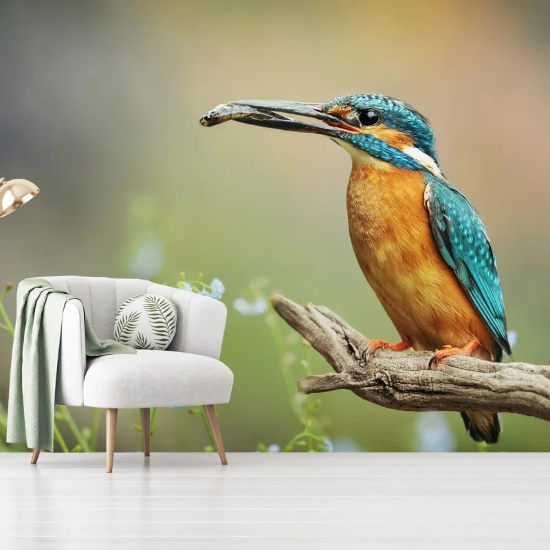 Fototapete eisvogel auf einem ast mit fisch – Wallnifity® Fototapete eisvogel auf einem ast mit fisch – Wallnifity®