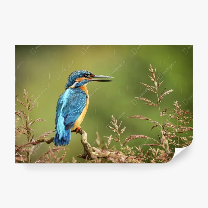 Fototapete rosa flamingo tropenmuster – Wallnifity®