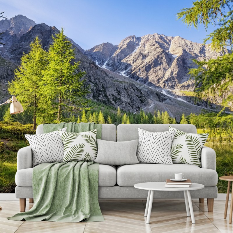 Fototapete alpine wiese mit bergbach