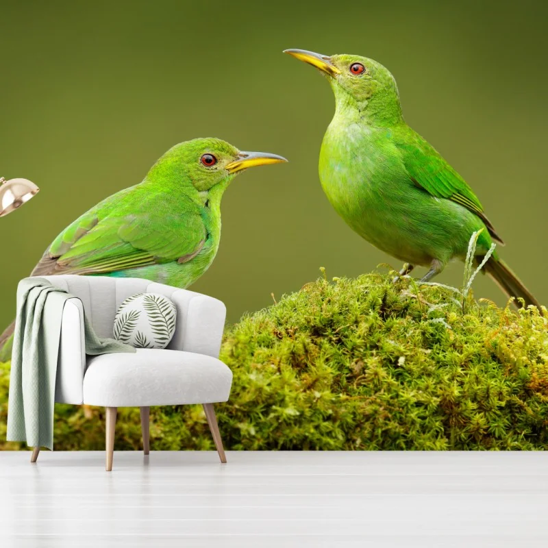 Fototapete lebendige grüne honigfresser auf moos