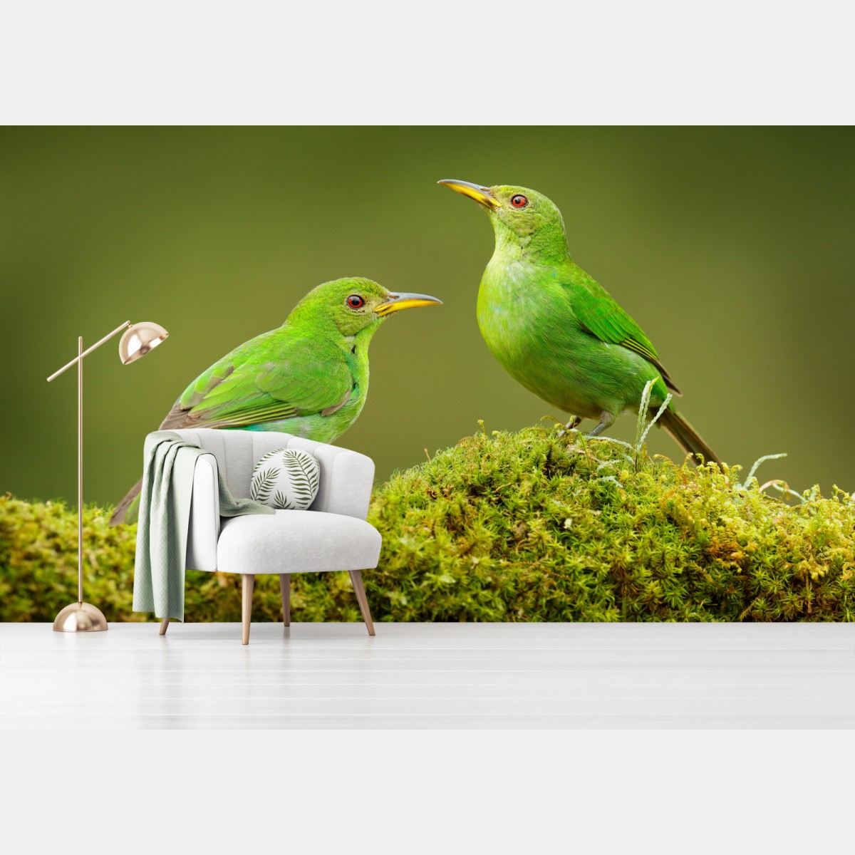 Fototapete lebendige grüne honigfresser auf moos – Wallnifity®