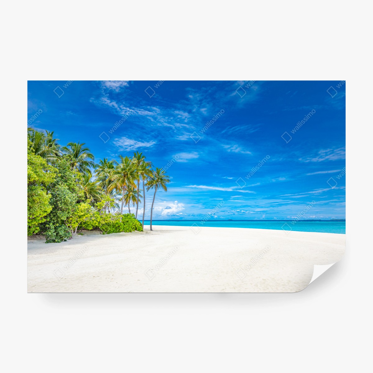Fototapete tropischer strand mit palmen – Wallnifity® Fototapete tropischer strand mit palmen – Wallnifity®
