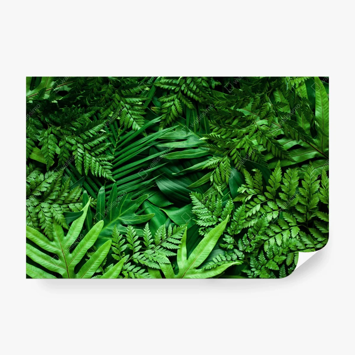 Fototapete üppiges grünes blättermuster – Wallnifity® Fototapete üppiges grünes blättermuster – Wallnifity®