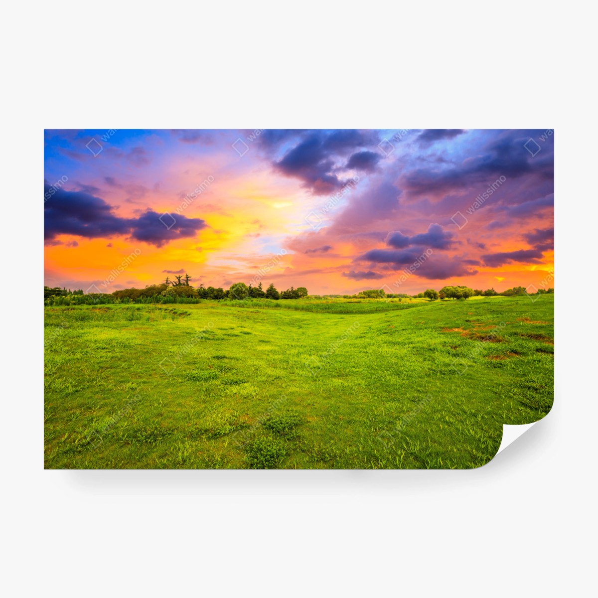 Fototapete sonnenuntergang über grüner wiese – Wallnifity® Fototapete sonnenuntergang über grüner wiese – Wallnifity®