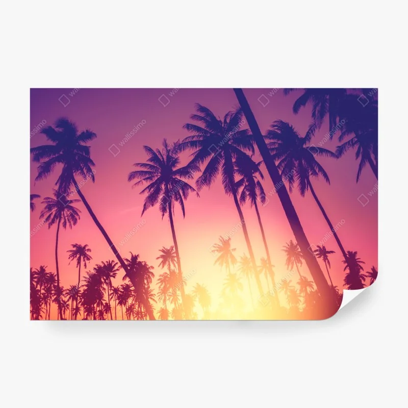 Fototapete tropischer sonnenuntergang mit palmensilhouette