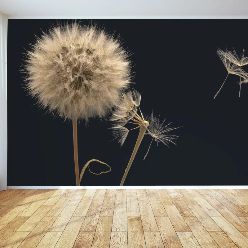 Fototapete zarter löwenzahn vor dunklem hintergrund – Wallnifity® Fototapete zarter löwenzahn vor dunklem hintergrund – Wallnifity®