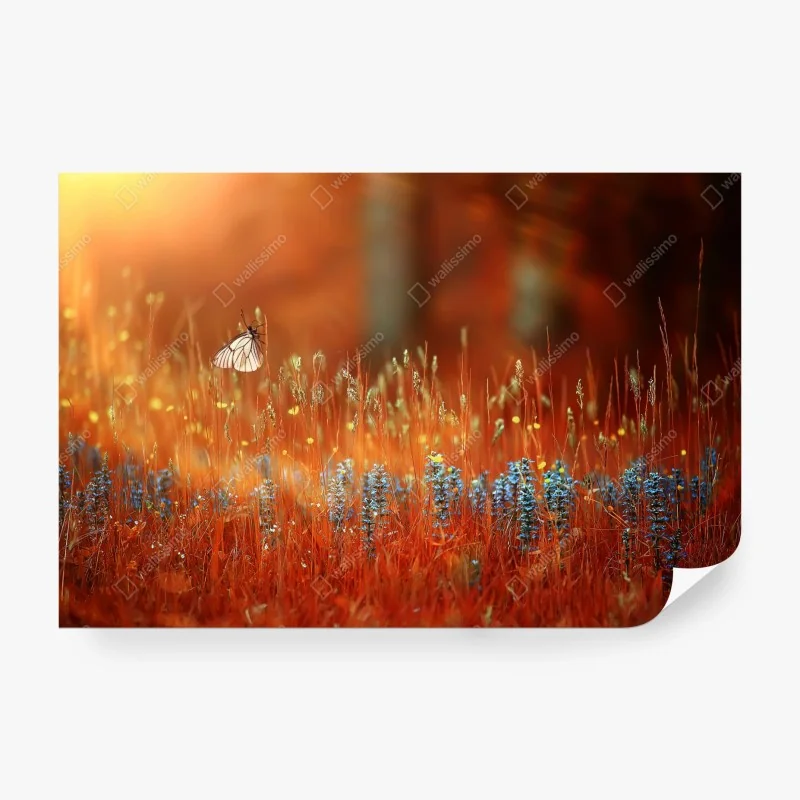 Fototapete verschränkte hände auf gitarrensaiten – Wallnifity®