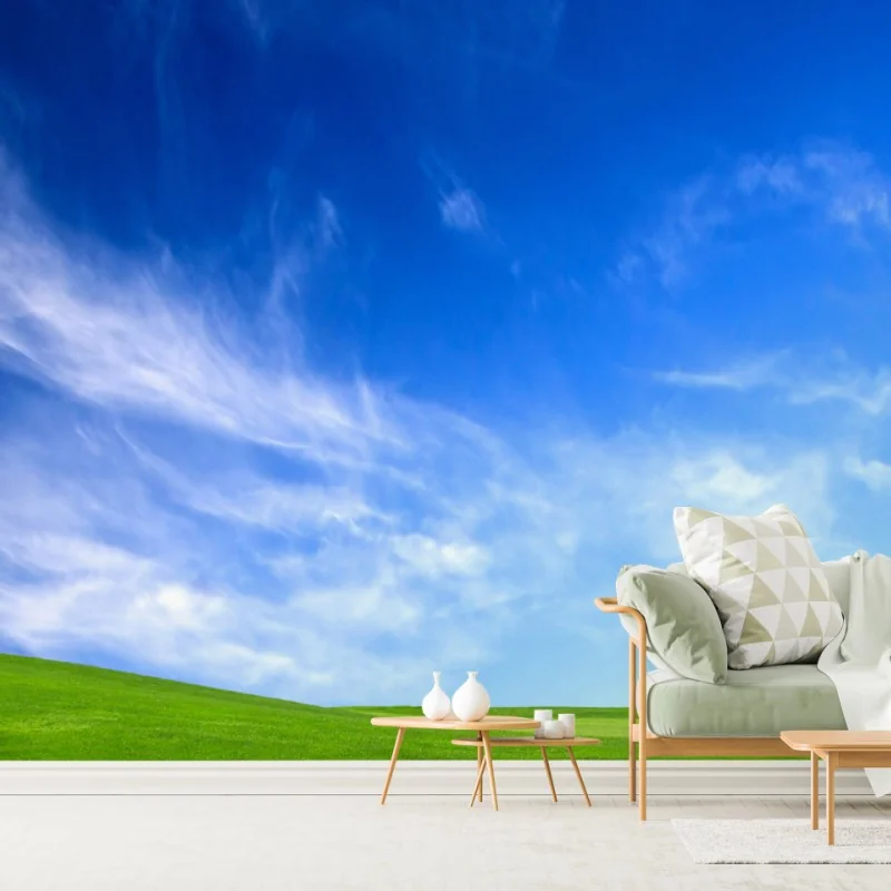 Fototapete sonnige grüne wiese unter blauem himmel