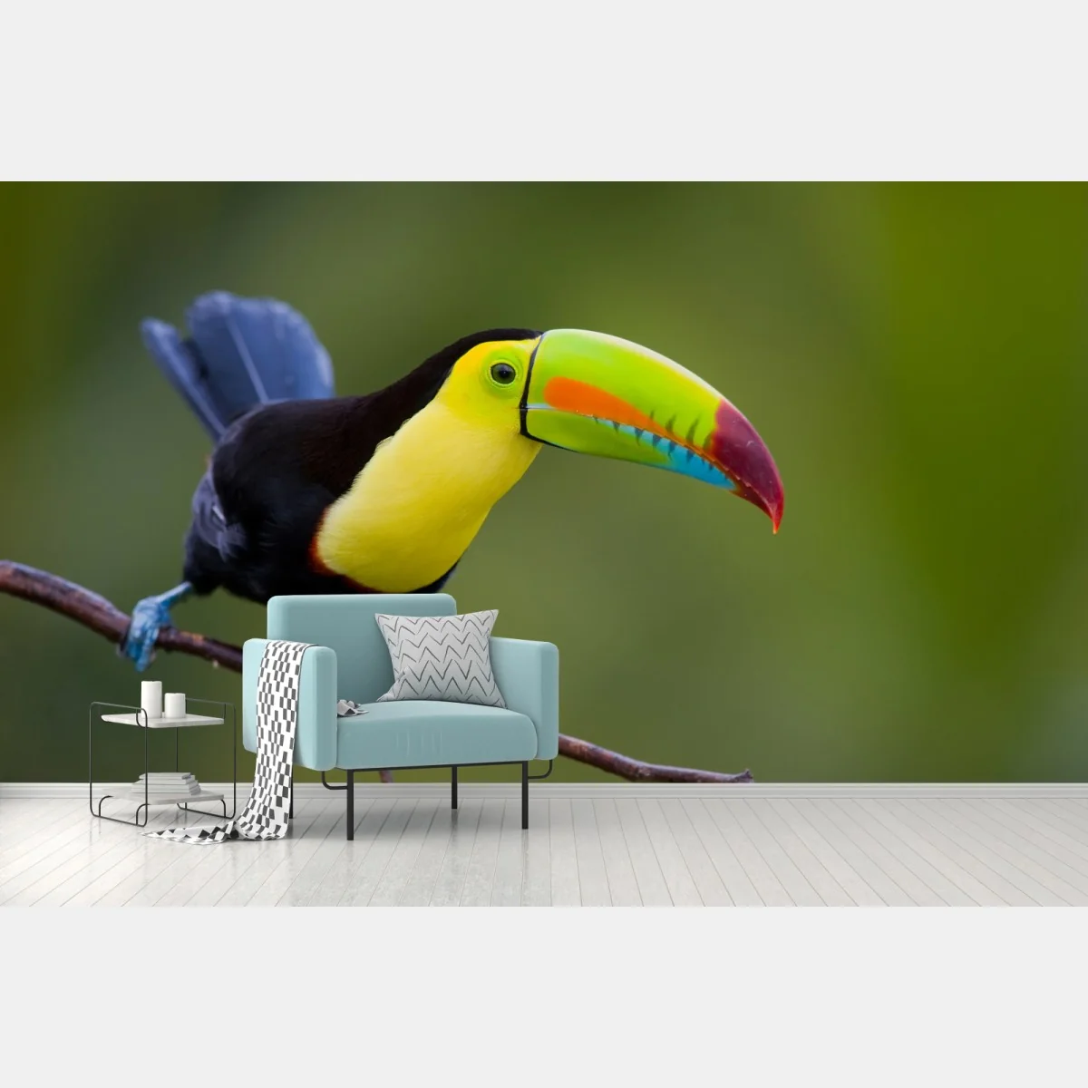 Fototapete lebendiges tukan-porträt – Wallnifity® Fototapete lebendiges tukan-porträt – Wallnifity®