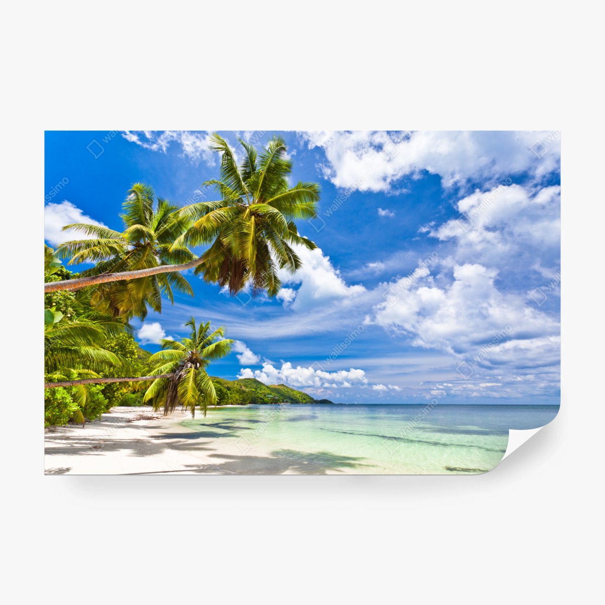 Fototapete tropischer strand mit palmen – Wallnifity® Fototapete tropischer strand mit palmen – Wallnifity®
