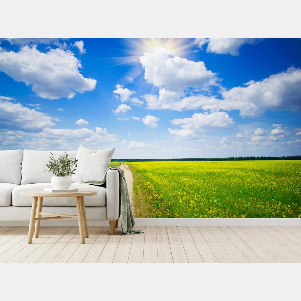 Fototapete gelbes rapsfeld unter blauem himmel – Wallnifity® Fototapete gelbes rapsfeld unter blauem himmel – Wallnifity®