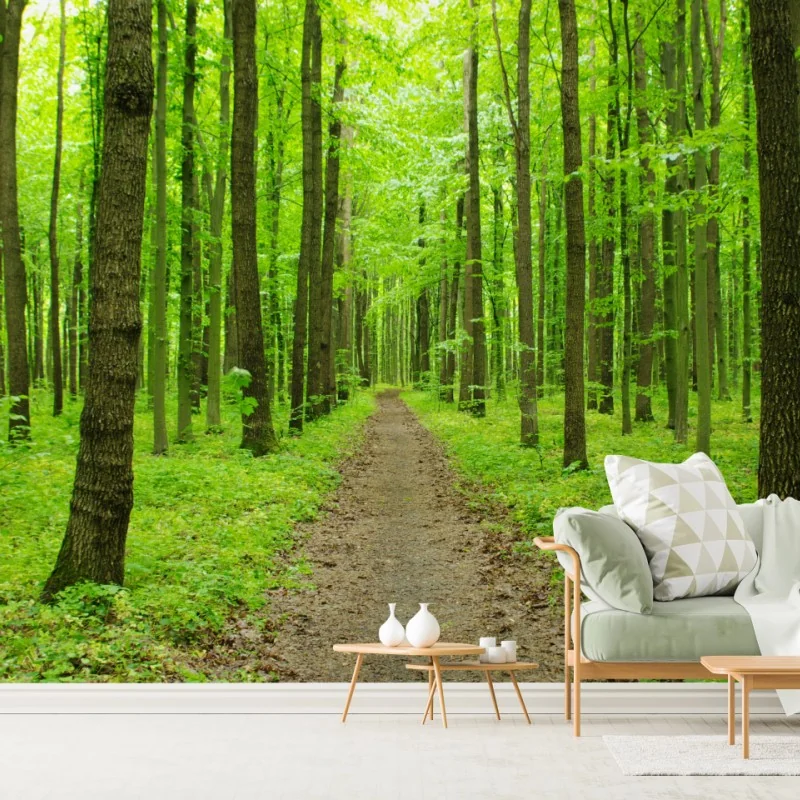 Fototapete ruhiger grüner waldweg – Wallnifity® Fototapete ruhiger grüner waldweg – Wallnifity®