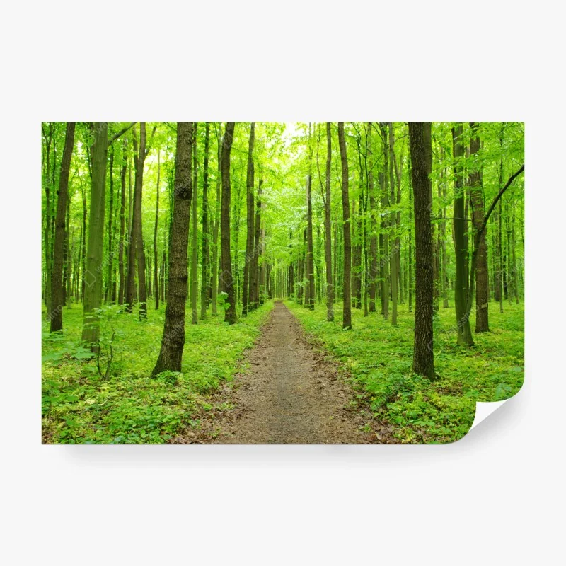 Fototapete goldener sonnenaufgang über ruhigem see – Wallnifity®