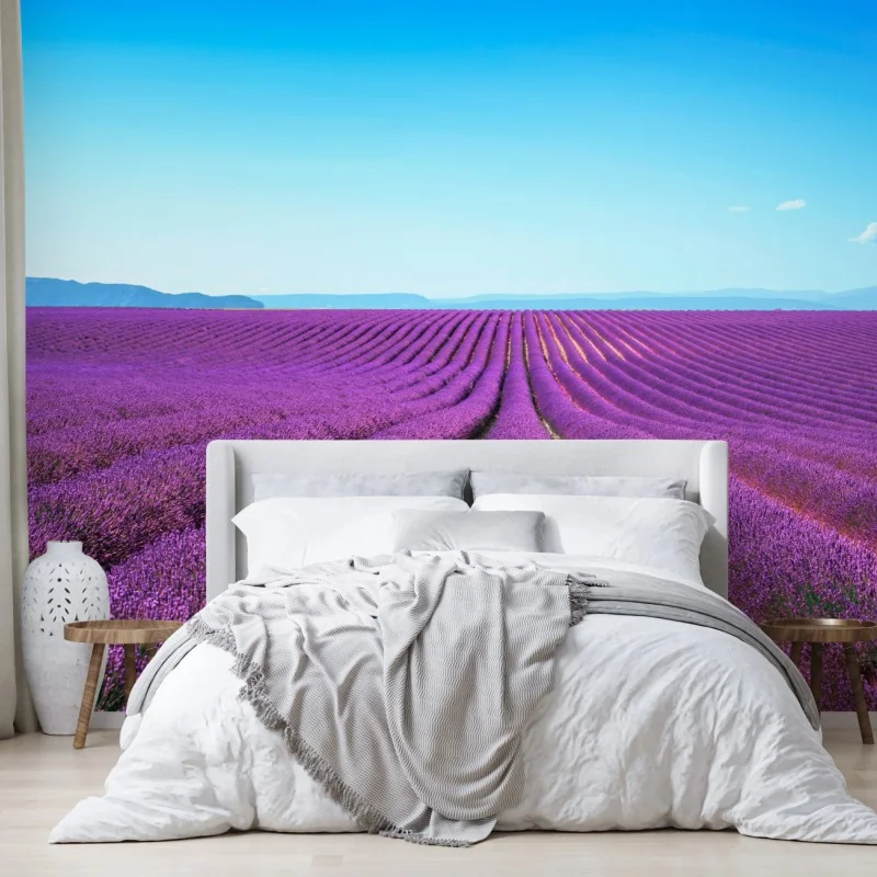 Fototapete lavendelfelder unter blauem himmel