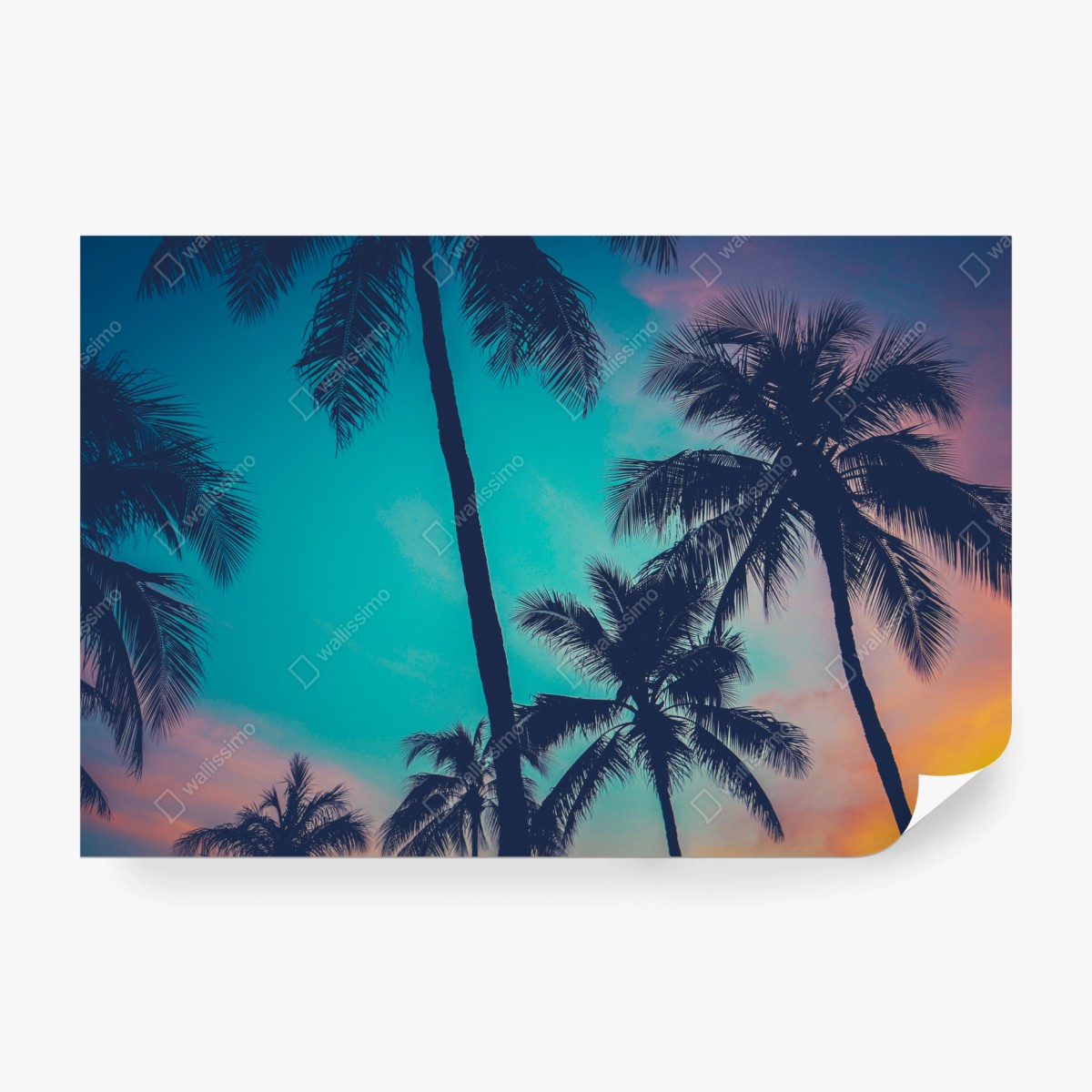 Fototapete vintage palmen auf Hawaii bei sonnenuntergang – Wallnifity® Fototapete vintage palmen auf Hawaii bei sonnenuntergang – Wallnifity®