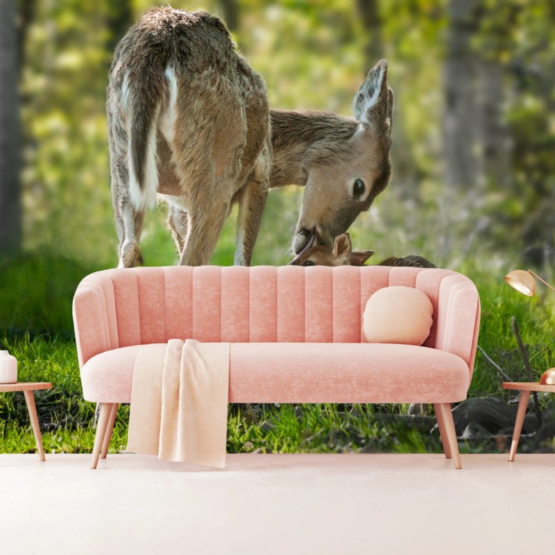 Fototapete hirsch und kitz im sonnendurchfluteten wald – Wallnifity® Fototapete hirsch und kitz im sonnendurchfluteten wald – Wallnifity®