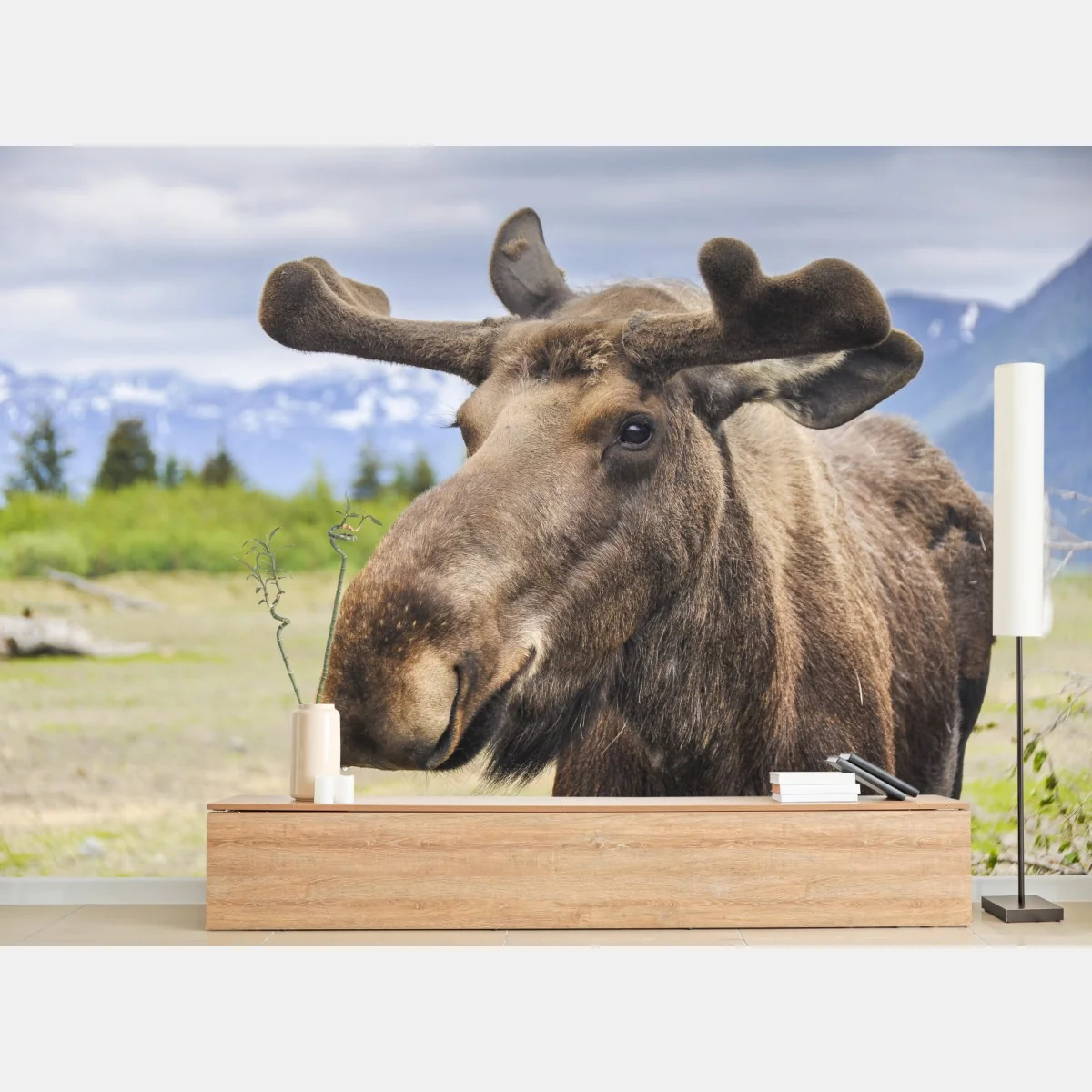 Fototapete majestätisches elchporträt in freier natur – Wallnifity® Fototapete majestätisches elchporträt in freier natur – Wallnifity®