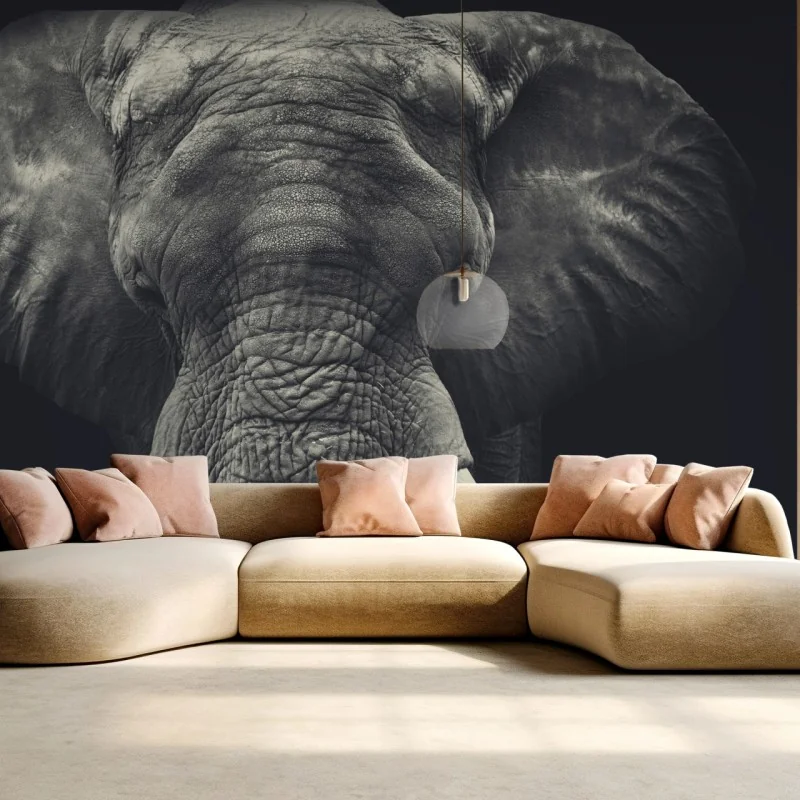 Fototapete majestätisches elefantenportrait in monochrom – Wallnifity® Fototapete majestätisches elefantenportrait in monochrom – Wallnifity®