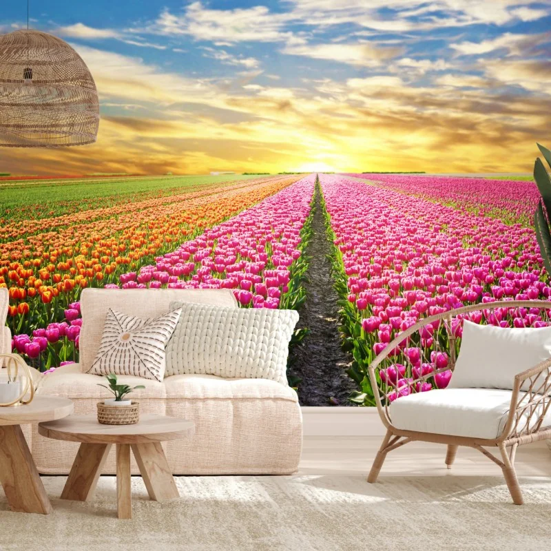 Fototapete sonnenaufgang über tulpenfeldern in den Niederlanden