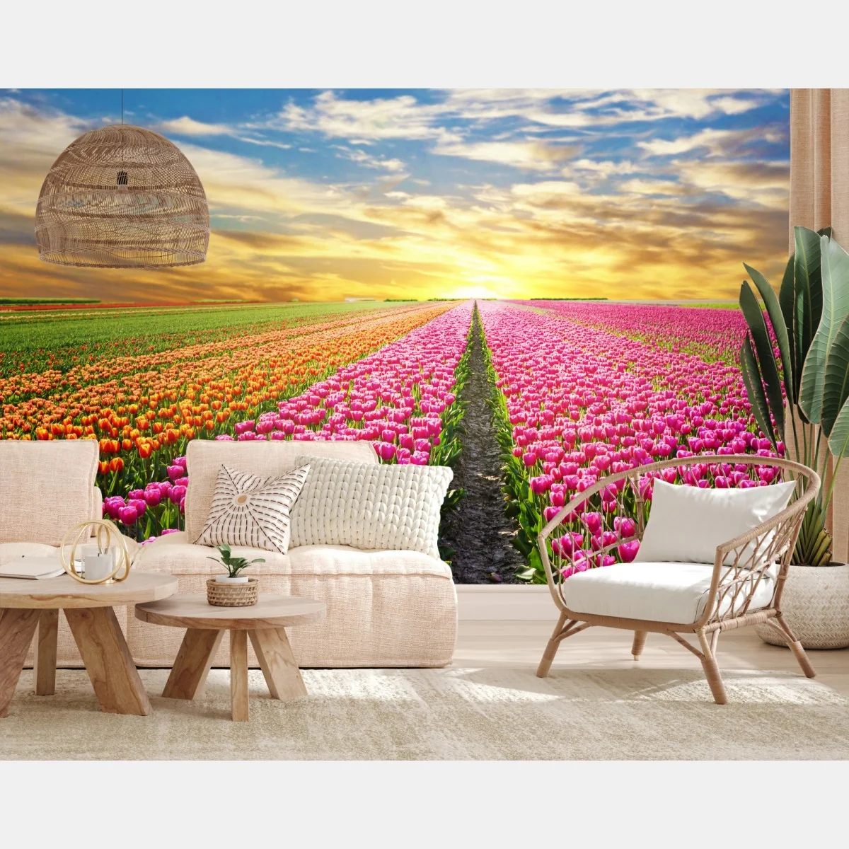 Fototapete sonnenaufgang über tulpenfeldern in den Niederlanden – Wallnifity® Fototapete sonnenaufgang über tulpenfeldern in den Niederlanden – Wallnifity®