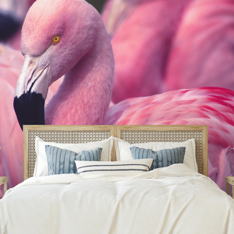 Fototapete rosa flamingo-porträt