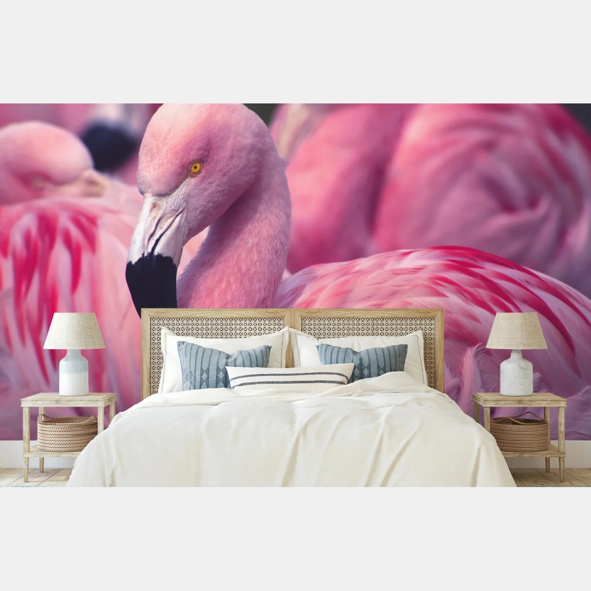 Fototapete rosa flamingo-porträt – Wallnifity®