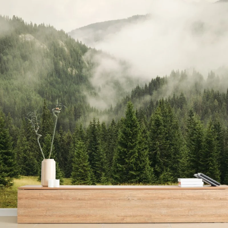 Fototapete nebeliger nadelwald