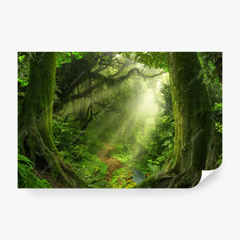 Fototapete leuchtender sonnenblumenstrauß auf gelbem hintergrund – Wallnifity®