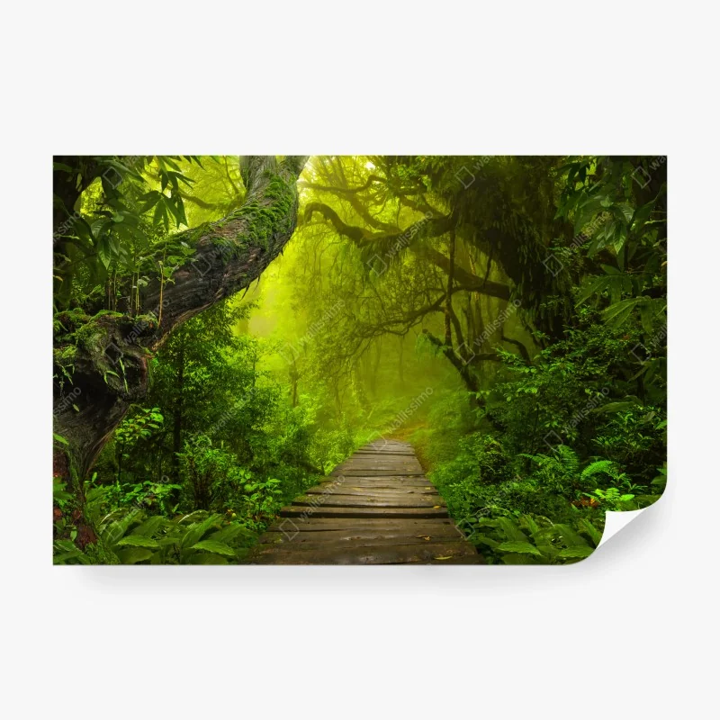 Fototapete ätherisches monochromes porträt – Wallnifity®