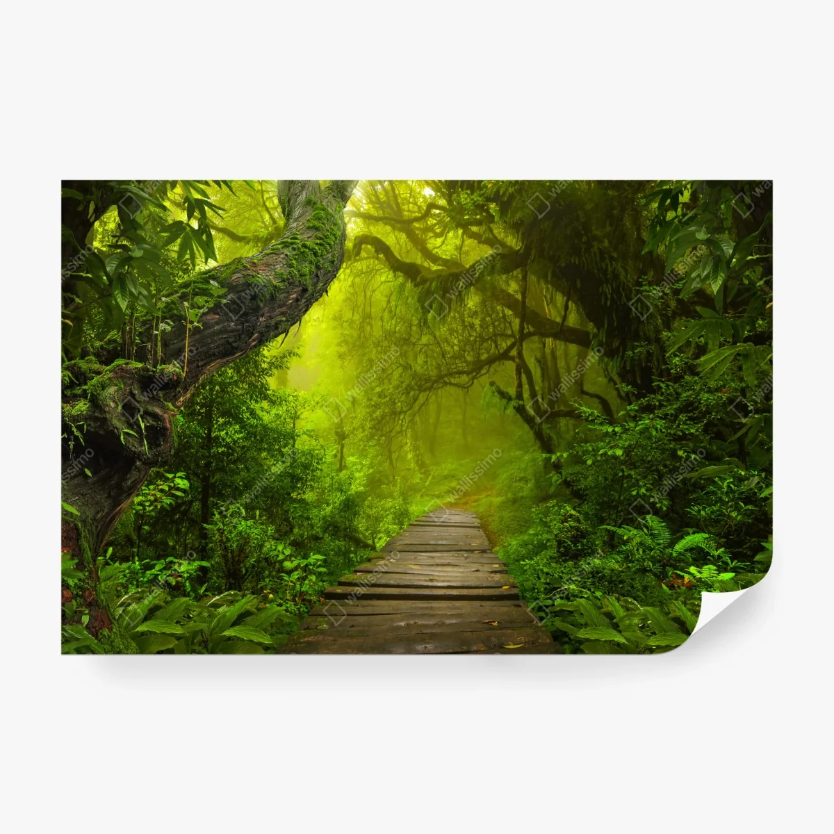 Fototapete mystischer grüner waldpfad – Wallnifity® Fototapete mystischer grüner waldpfad – Wallnifity®