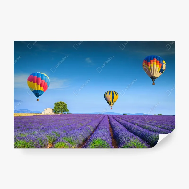 Fototapete lavendelfelder bei Valensole mit luftballons