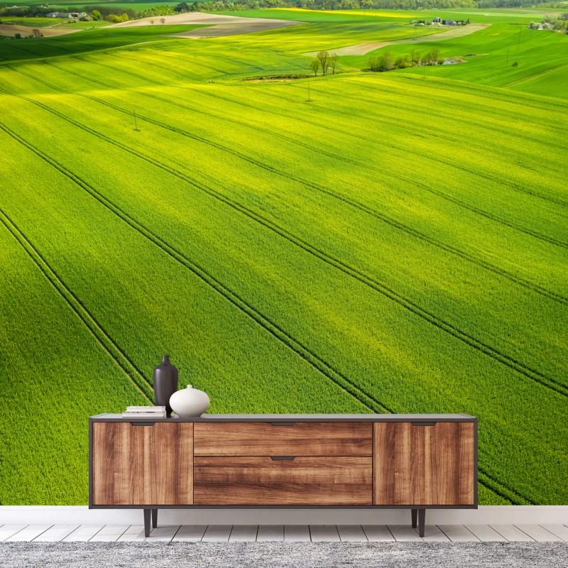 Fototapete goldene rapsfelder aus der vogelperspektive – Wallnifity® Fototapete goldene rapsfelder aus der vogelperspektive – Wallnifity®