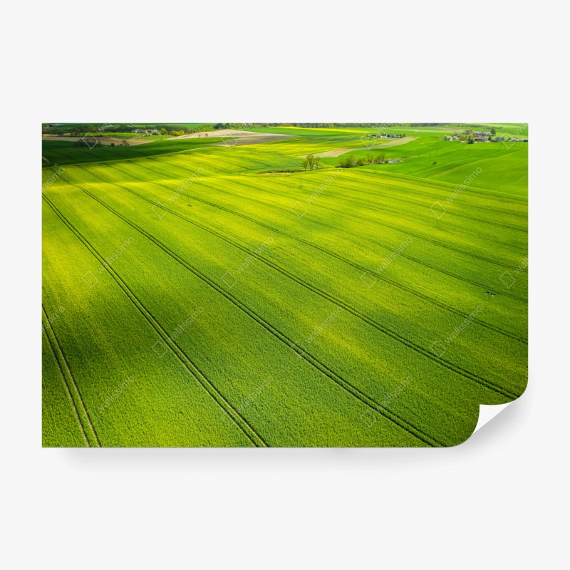 Fototapete tropisches ananasmuster auf gelbem hintergrund – Wallnifity®