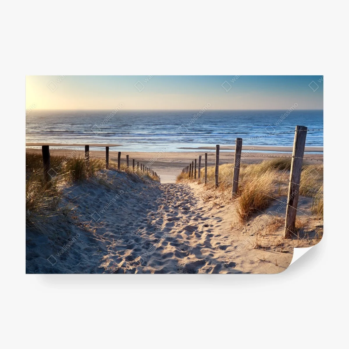 Fototapete weg zum strand der Nordsee im goldenen sonnenuntergang – Wallnifity® Fototapete weg zum strand der Nordsee im goldenen sonnenuntergang – Wallnifity®